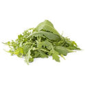 BB - Fancy Lettuce Wild Roquette rocket baby leaf
