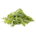 BB - Fancy Lettuce Wild Roquette rocket baby leaf