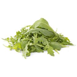 BB - Fancy Lettuce Wild Roquette rocket baby leaf