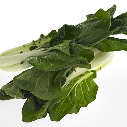 Pak Choi (Case of 1)
