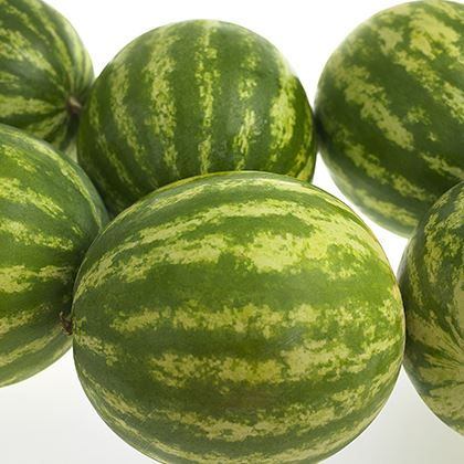 Water melon