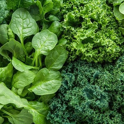 Supergreen Mix WRTE (Washed Ready to Eat) (Case of 4)