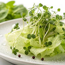 Cress Salad (Case of 15)