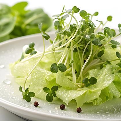 Cress Salad (Case of 15)