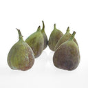 BB - Figs Black/Green