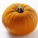 Medium Halloween Carving Pumpkin 16-20 cm Available October