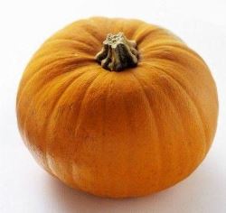 Medium Halloween Carving Pumpkin 16-20 cm Available October