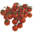 BB - Cherry Tomato On Vine