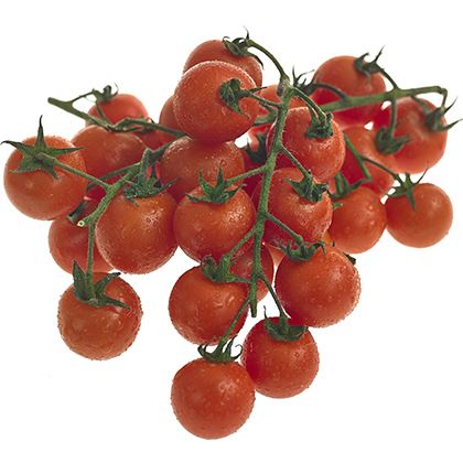 BB - Cherry Tomato On Vine
