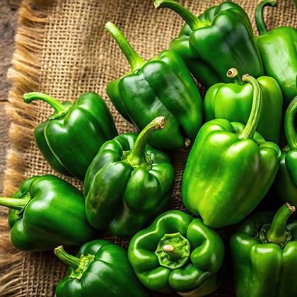 Catering Green Peppers Capsicum Ungraded (Case of 1)