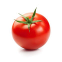 Tomato Backward