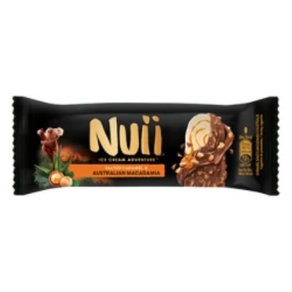 Nuii Salted Caramel Ice Cream (Case of 20)