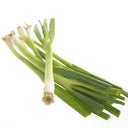 BB - Spring Onion Trimmed