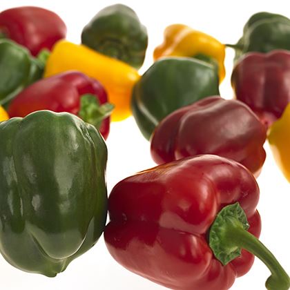 Mixed Capsicum Peppers 70-90mm