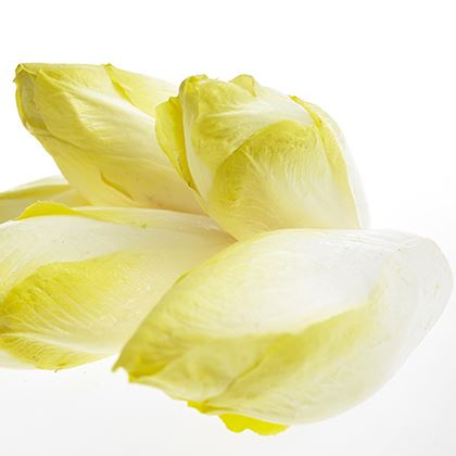 BB -Chicory White