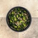 Greens & Grains
