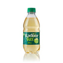 Radnor Fizz Sparkling Apple Drink Bottle (Case of 24)