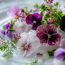 BB - Edible Pansy Flower