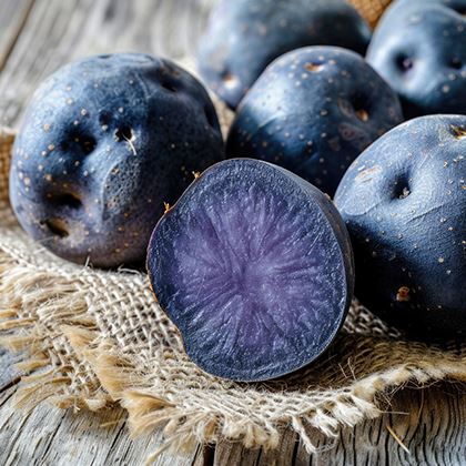 Salad Blue Heritage Black Purple Truffe De Chine Potato (Case of 1)
