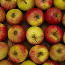 Red Apple Large (Case of 1)