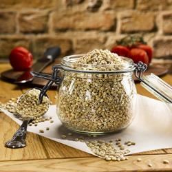 Laila Pearl Barley