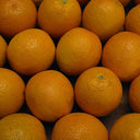 Orange Medium (Case of 70)