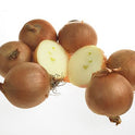 BB - Brown Skin Cooking Onion Yellow   Pre Pack 60Mm +