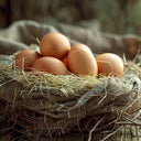 Everyday Favourites Free Range Medium Eggs - Limited Shelf Life (Case of 1)