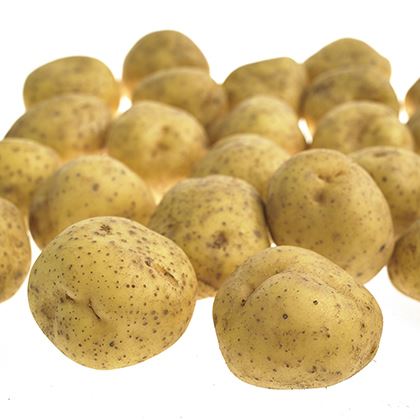 Jacket Baking Potatoes 60 per box