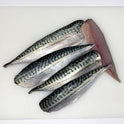 Rockport Boned Vacuum Packed Fresh Mackerel Fillets 60-80g - Order by 2pm Mon-Thurs for next delivery day