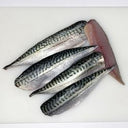 Rockport Boned Vacuum Packed Fresh Mackerel Fillets 60-80g - Order by 2pm Mon-Thurs for next delivery day (Case of 5)