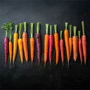 Carrot Mixed Colour French D4 (Case of 1)