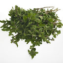 BB - Marjoram