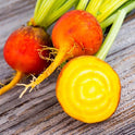 BB - Baby Golden Beetroot Airfreight