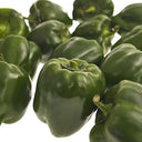 Green Capsicum Peppers 70-90mm (Case of 1)