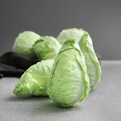 BB _ Cabbage Hispi Pointed sweetheart