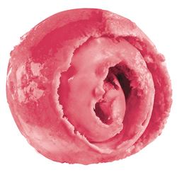 Yarde Farm Raspberry Sorbet