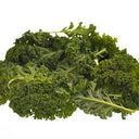 Cabbage Curly Kale (Case of 1)