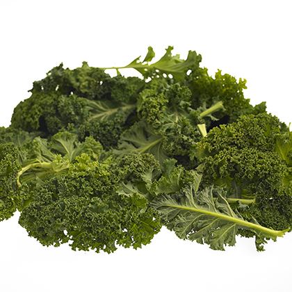 Cabbage Curly Kale (Case of 1)