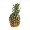 BB - Pineapple Large