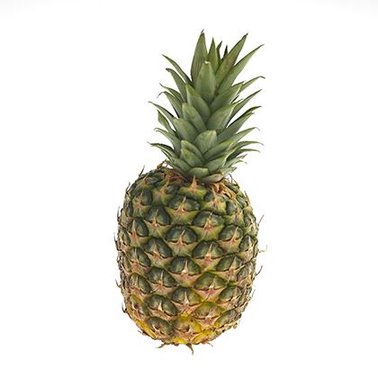 BB - Pineapple Large