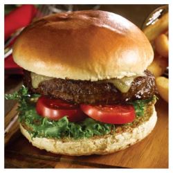 Premium Selection Brioche Burger Bun 4.5" (Case of 48)