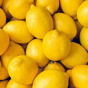 Lemons Small Box (Case of 1)