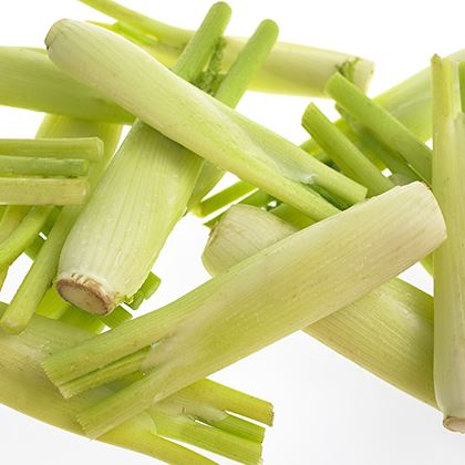 Mini Fennel Pre-packed SA. Airfreight  D4