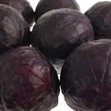Catering Cabbage Red Ungraded