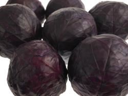 Catering Cabbage Red Ungraded (Case of 1)