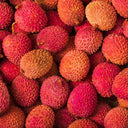 Lychee Loose PO D3 (Case of 1)