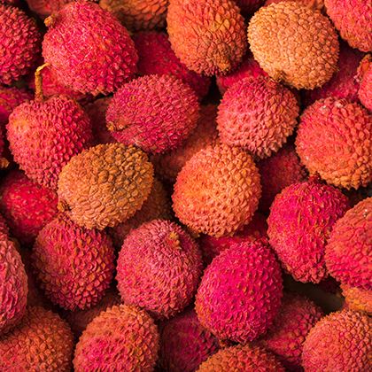Lychee Loose PO D3 (Case of 1)