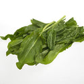 BB - Herb Sorrel  D4