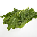 BB - Herb Sorrel  D4